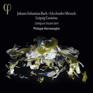 Bach: Ich elender Mensch - Leipzig Cantatas Product Image