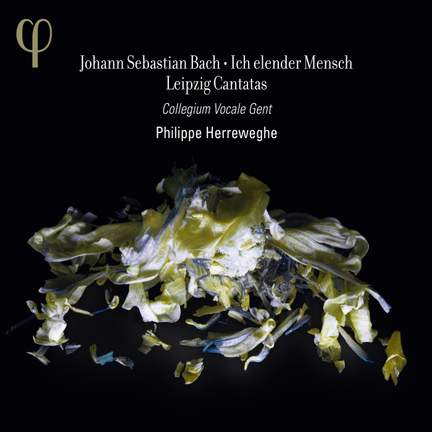 Bach: Ich elender Mensch - Leipzig Cantatas