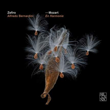 Mozart: En Harmonie