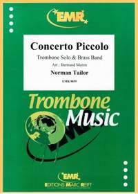Norman Tailor: Concerto Piccolo