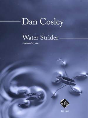 Dan Cosley: Water Strider