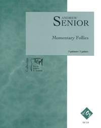 Andrew Senior: Momentary Follies
