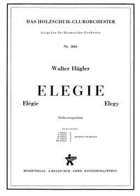 Walter Huegler: Elegie