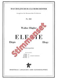 Walter Huegler: Elegie