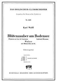Konrad Wolff: Blütenzauber am Bodensee