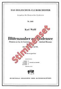 Konrad Wolff: Blütenzauber am Bodensee