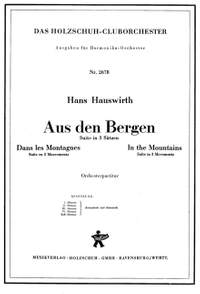 Hans M. Hauswirth: Aus den Bergen