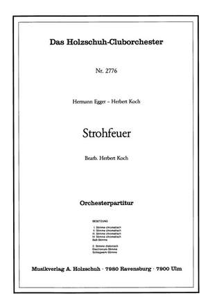 Hermann Egger_Herbert Koch: Strohfeuer