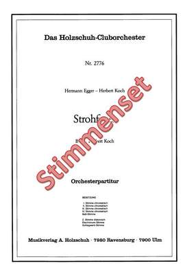 Hermann Egger_Herbert Koch: Strohfeuer