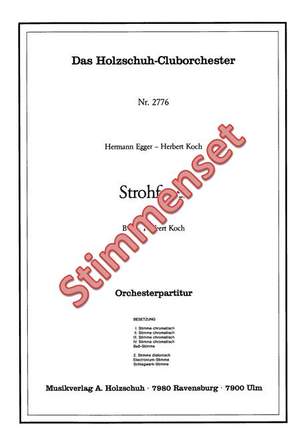 Hermann Egger_Herbert Koch: Strohfeuer