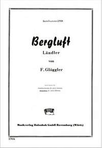F. Glöggler: Bergluft