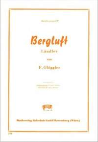 F. Glöggler: Bergluft