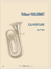 Vuillermet Thibaut: Ouverture