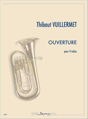 Vuillermet Thibaut: Ouverture