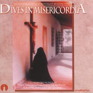 Dives In Misericordia