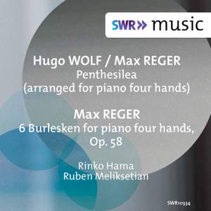 Wolf & Reger: Works for Piano 4 Hands
