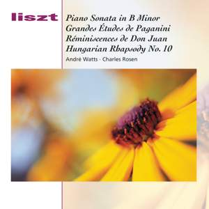 Liszt: Piano Works