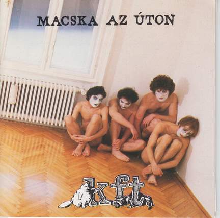 Macska Az Úton