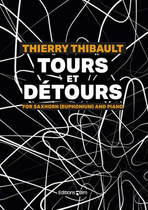 Thierry Thibault: Tours et Détours