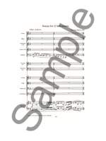Niels Viggo Bentzon: Sonata For 12 Instruments Op.257 Product Image