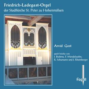 Brahms, Mendelssohn, Schumann & Rheinberger: Organ Works