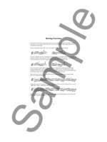 Tim Kliphuis: Stephane Grappelli Gypsy Jazz Violin Product Image