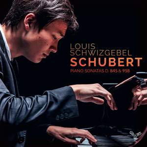 Schubert: Piano Sonatas, D. 845 & 958 Product Image