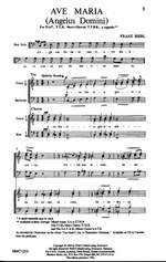 Franz Biebl: Ave Maria Product Image