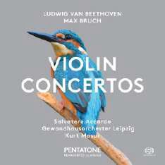 Beethoven & Bruch: Violin Concertos