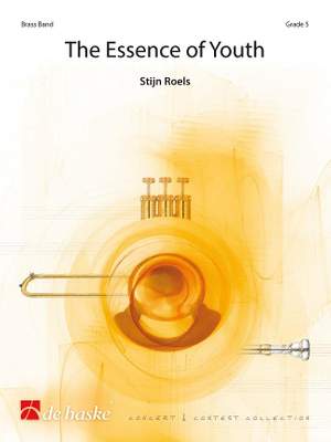 Stijn Roels: The Essence of Youth
