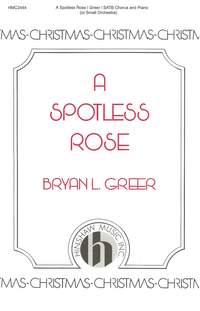 Bryan Greer: A Spotless Rose
