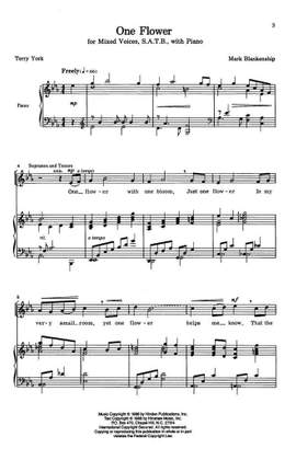 Mark Blankenship: One Flower