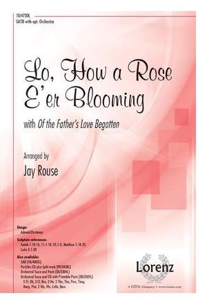 Lo, How a Rose E'er Blooming