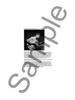 Trevor Salloum: Conga And Bongo Drum In Jazz Product Image