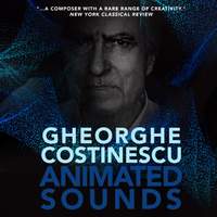 Gheorghe Costinescu: Animated Sound