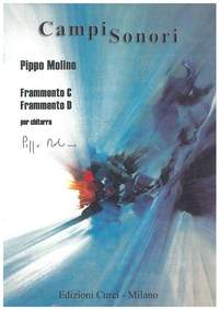 Pippo Molino: Frammento C. Frammento D.
