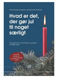 Peter Sander Andersen_Svend Erik Petersen: Hvad Er Det Der Gør Jul Til Noget Særligt