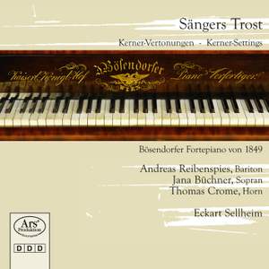 Sängers Trost - Kerner Settings