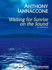 Anthony Iannaccone: Waiting for Sunrise On The Sound