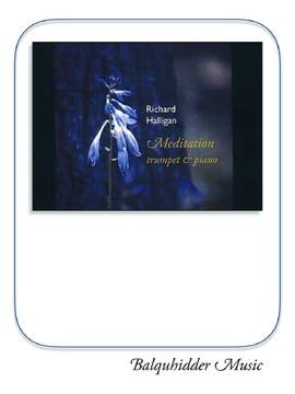 Richard Halligan: Meditation