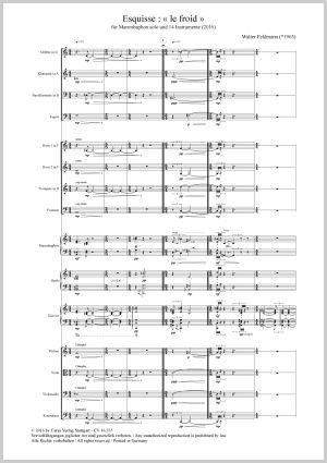 Walter Feldmann: Esquisse: le froid