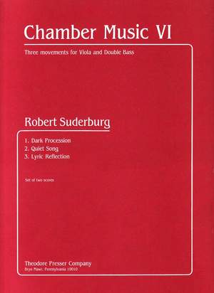 Robert Suderburg: Chamber Music Vi