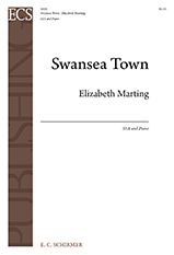 Swansea Town