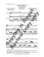 Wolfgang Amadeus Mozart: Vesperae solennes de Confessore: Laudate Dominum Product Image