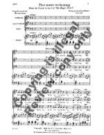 Wolfgang Amadeus Mozart: Magic Flute, The: That Music Enchanting Product Image