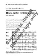 Giovanni Bernadino Nanino: Hodie Nobis Coelorum Rex Product Image