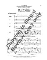 David Conte: The Waking Product Image