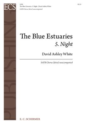 David Ashley White: The Blue Estuaries: 5. Night
