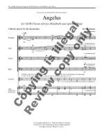 Steven Sametz: Angelus Product Image