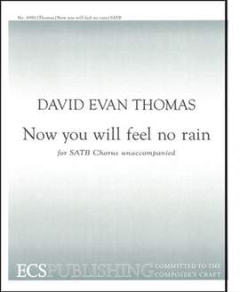 David Evan Thomas: Now You Will Feel No Rain